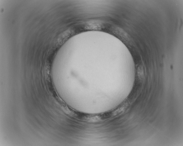 X0000062890322200602031813