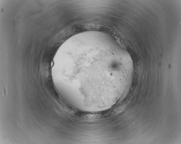 X0000062890323200602031813