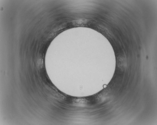 X0000062890324200602031813