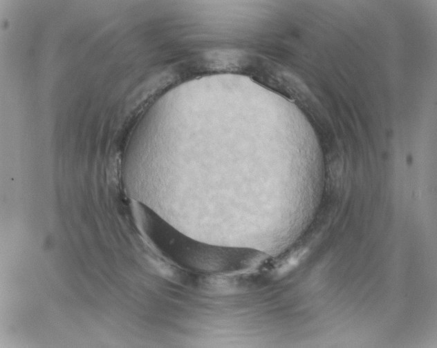 X0000062890325200602031813