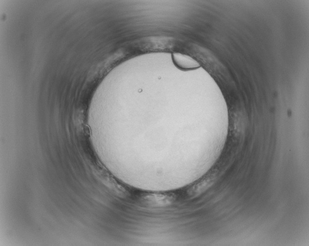 X0000062890326200602031813