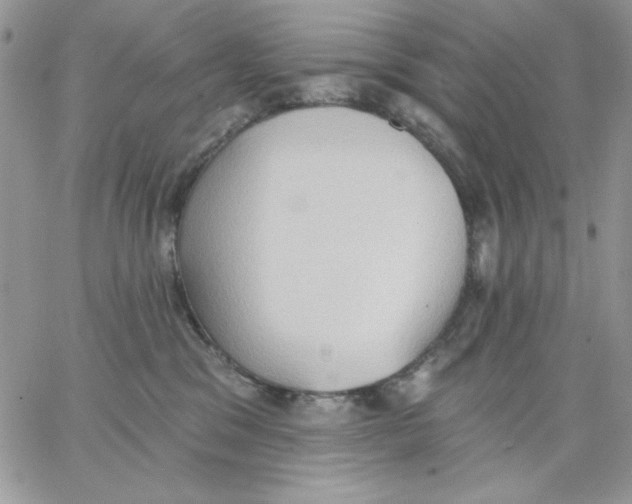 X0000062890329200602031813