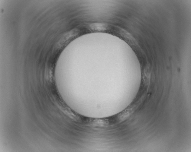 X0000062890330200602031813