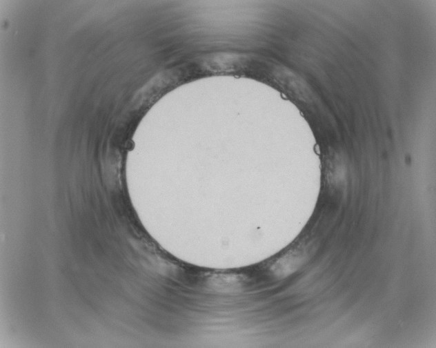 X0000062890332200602031813