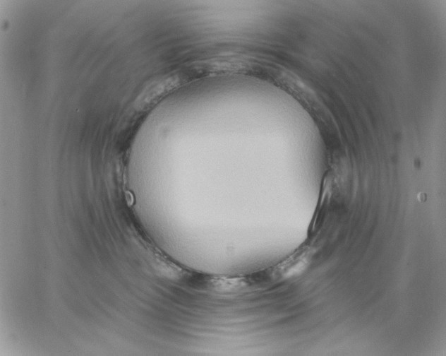 X0000062890333200602031813