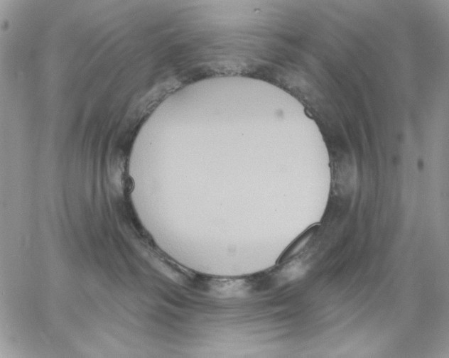 X0000062890334200602031813