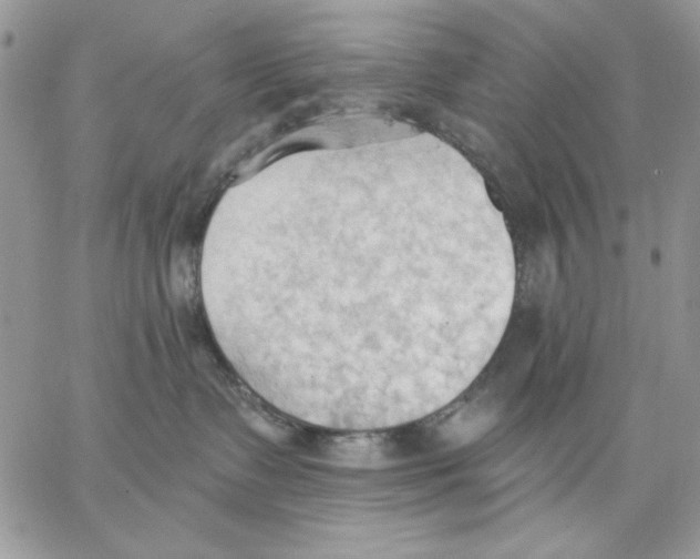 X0000062890335200602031813