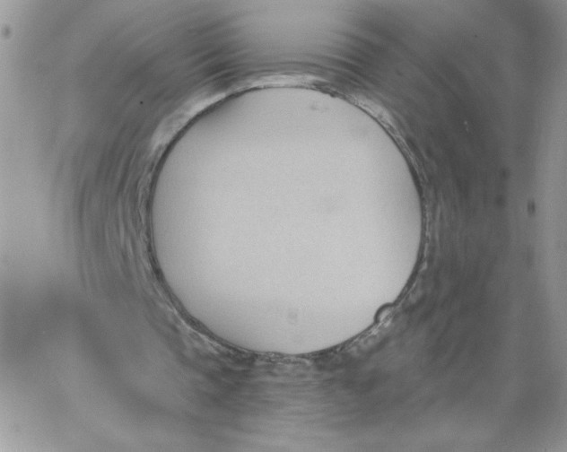 X0000062890337200602031812