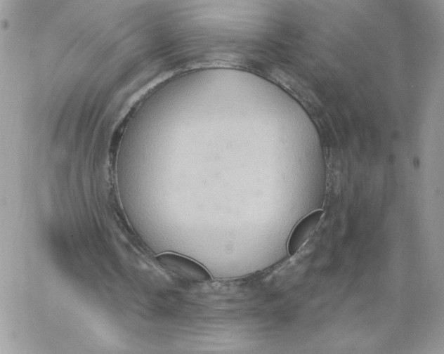 X0000062890338200602031812