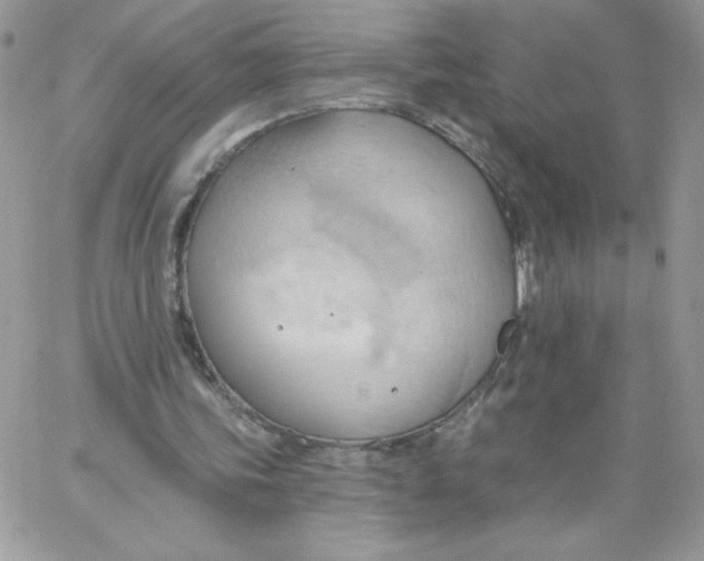 X0000062890339200602031812