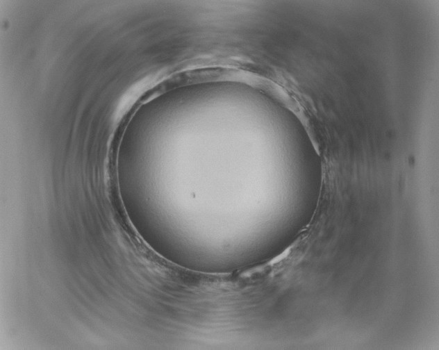 X0000062890340200602031812