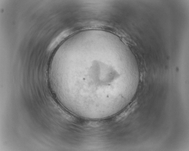 X0000062890341200602031812