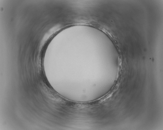 X0000062890343200602031812