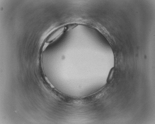 X0000062890344200602031812