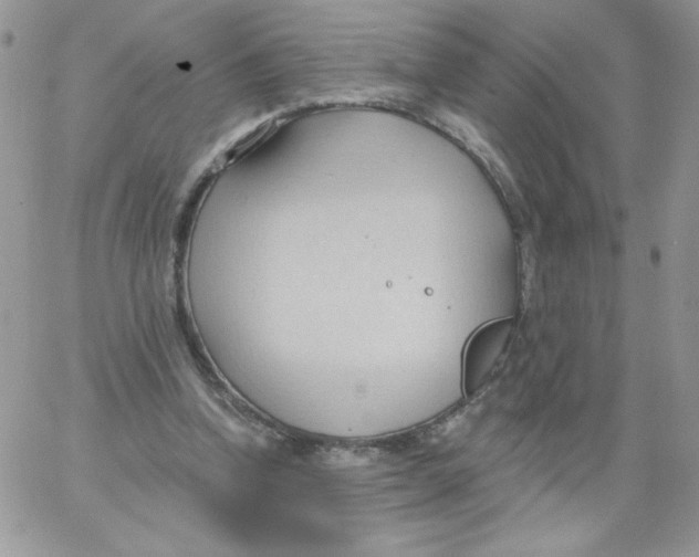 X0000062890346200602031813