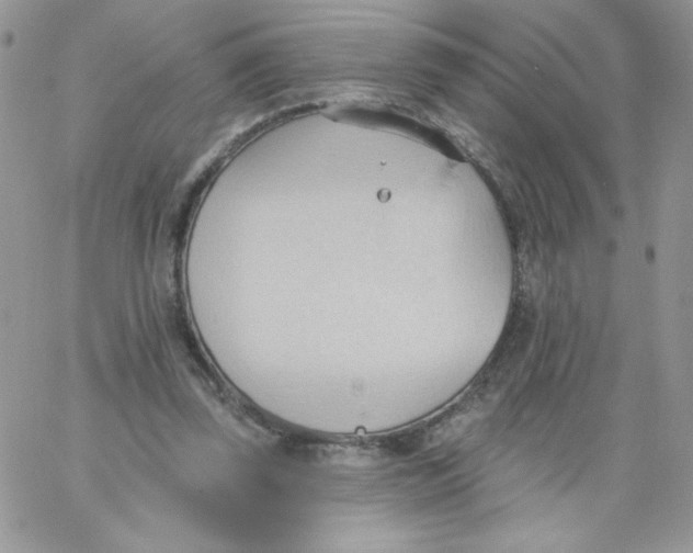 X0000062890347200602031813