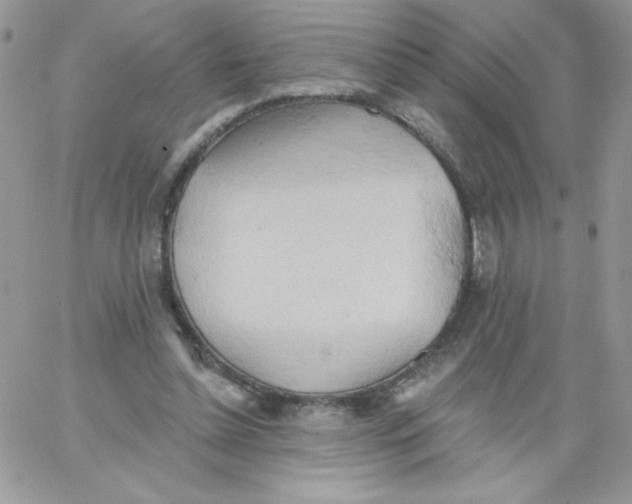 X0000062890348200602031813