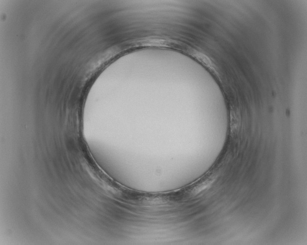 X0000062890349200602031813