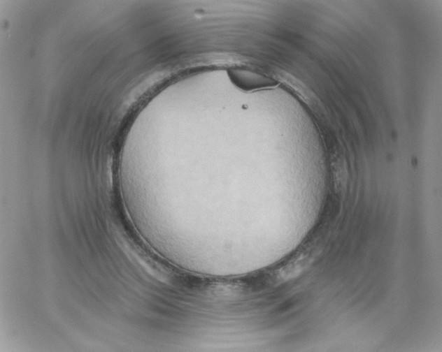 X0000062890350200602031813