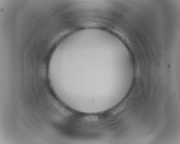 X0000062890353200602031813