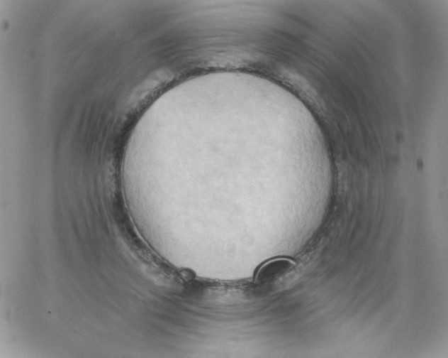 X0000062890354200602031813