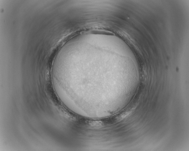 X0000062890355200602031813