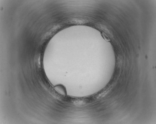 X0000062890358200602031813