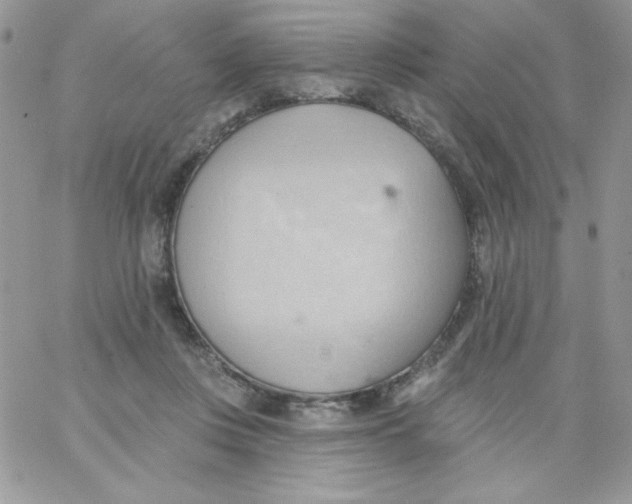 X0000062890359200602031813