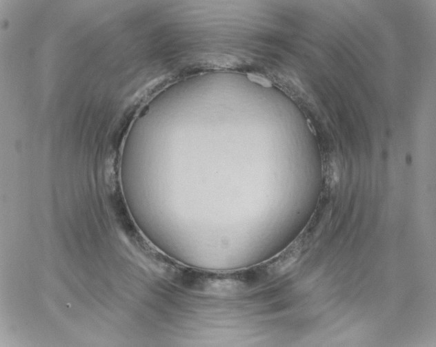 X0000062890360200602031813