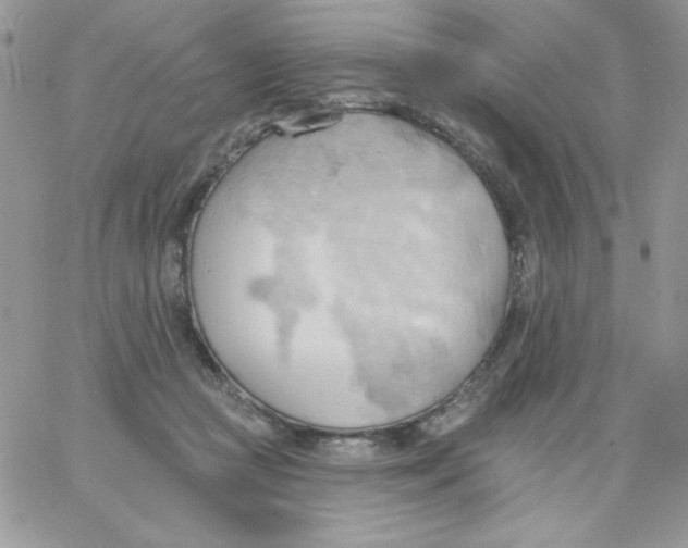 X0000062890361200602031813