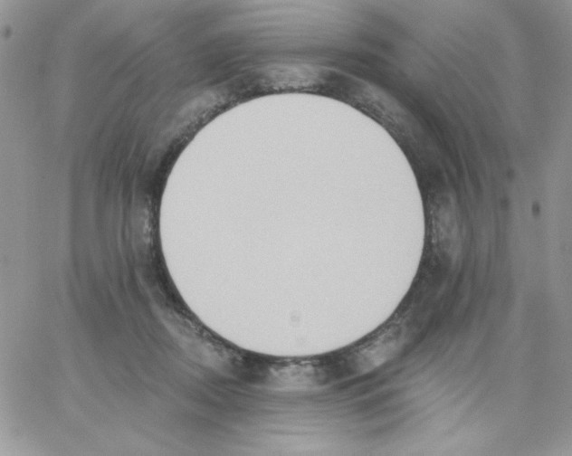 X0000062890362200602031813