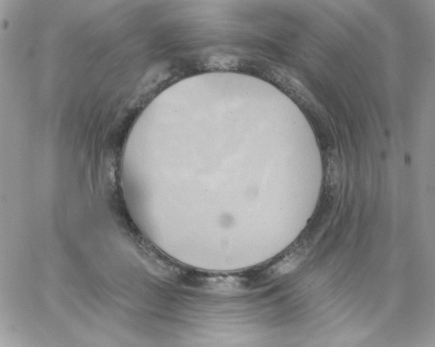 X0000062890363200602031813