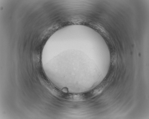 X0000062890365200602031813