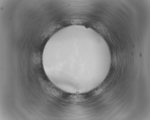 X0000062890367200602031813