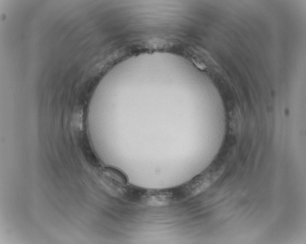 X0000062890368200602031813