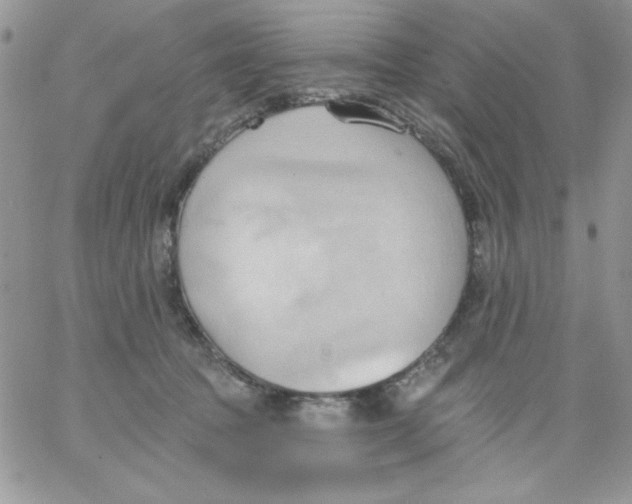 X0000062890369200602031813