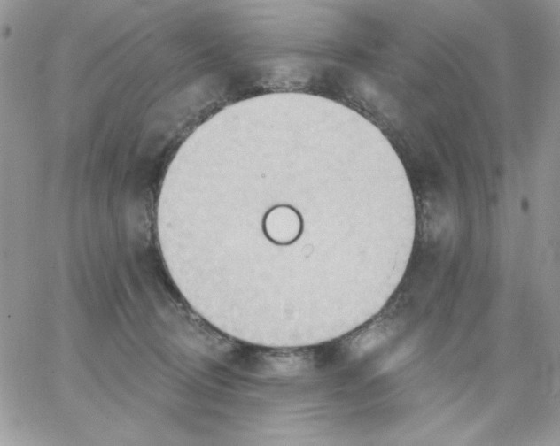 X0000062890370200602031813