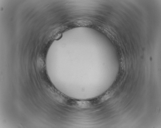 X0000062890371200602031813