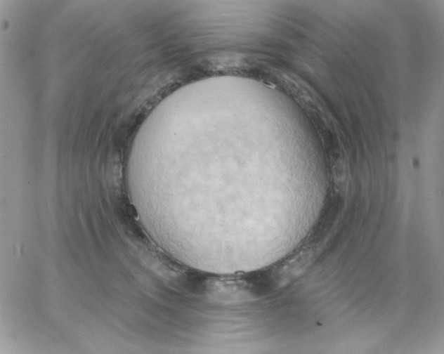 X0000062890372200602031813