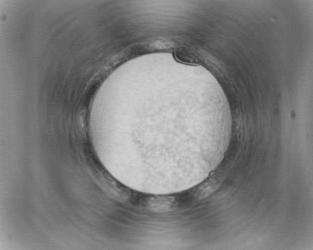 X0000062890373200602031813