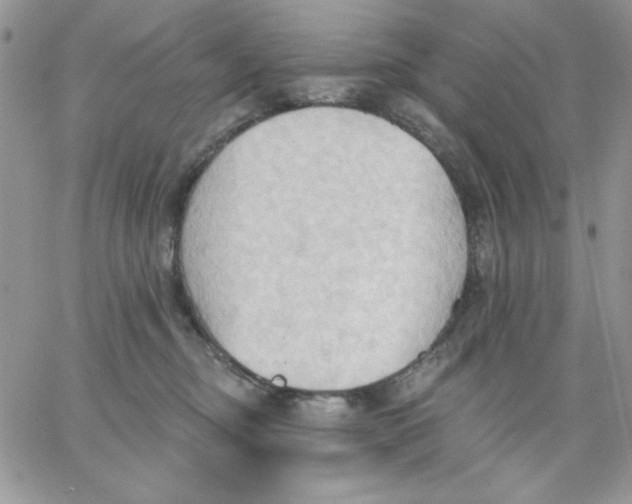 X0000062890374200602031813