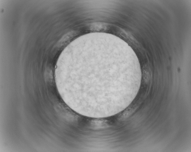 X0000062890375200602031813