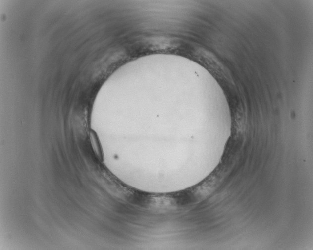 X0000062890376200602031813