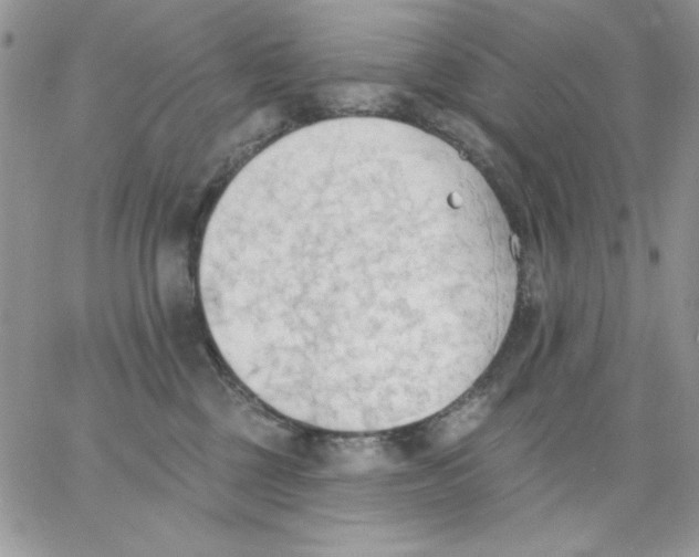 X0000062890377200602031813