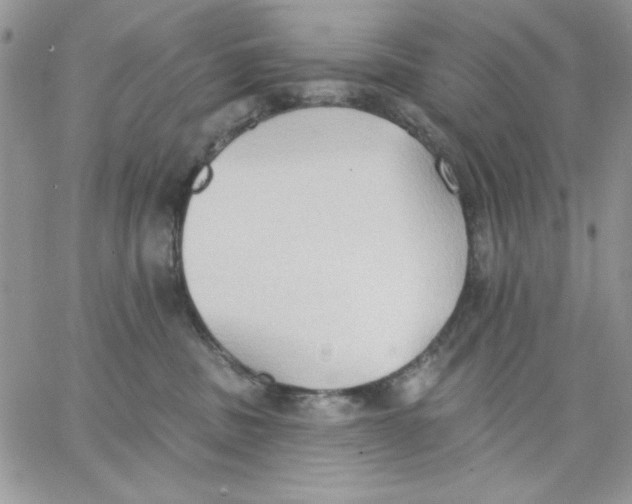 X0000062890379200602031813