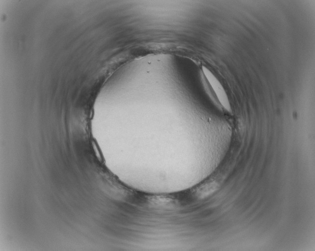 X0000062890380200602031813