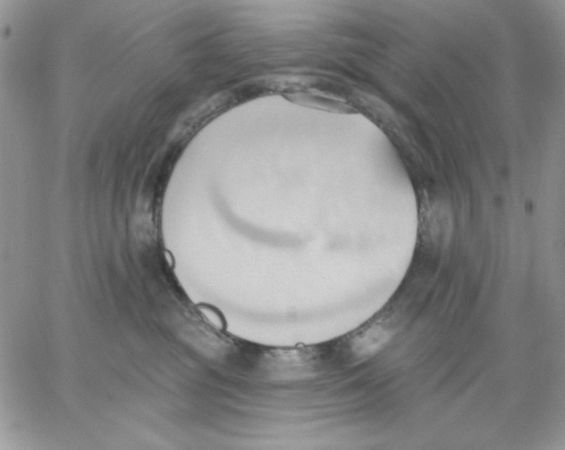 X0000062890381200602031813