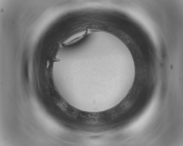 X0000062890382200602031813