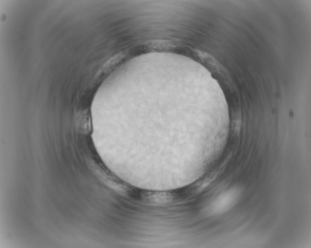 X0000062890383200602031813