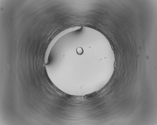 X0000062890384200602031813